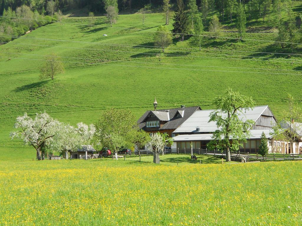 Weitgasserhof シュラートミンク エクステリア 写真